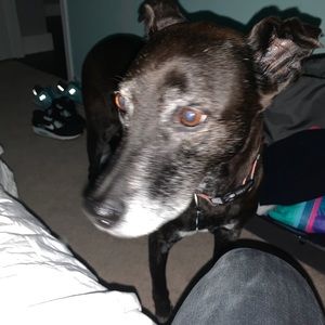 Meet your Posher, Ceilidh